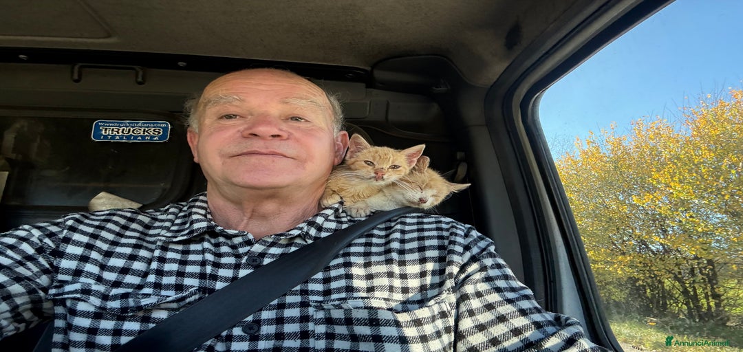 Immagine della galleria {{count}}