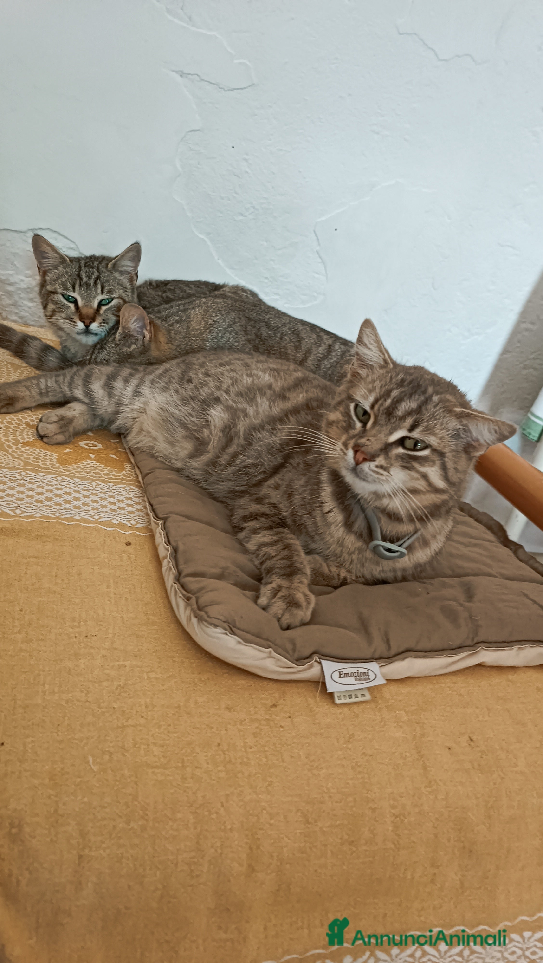 Minù 
