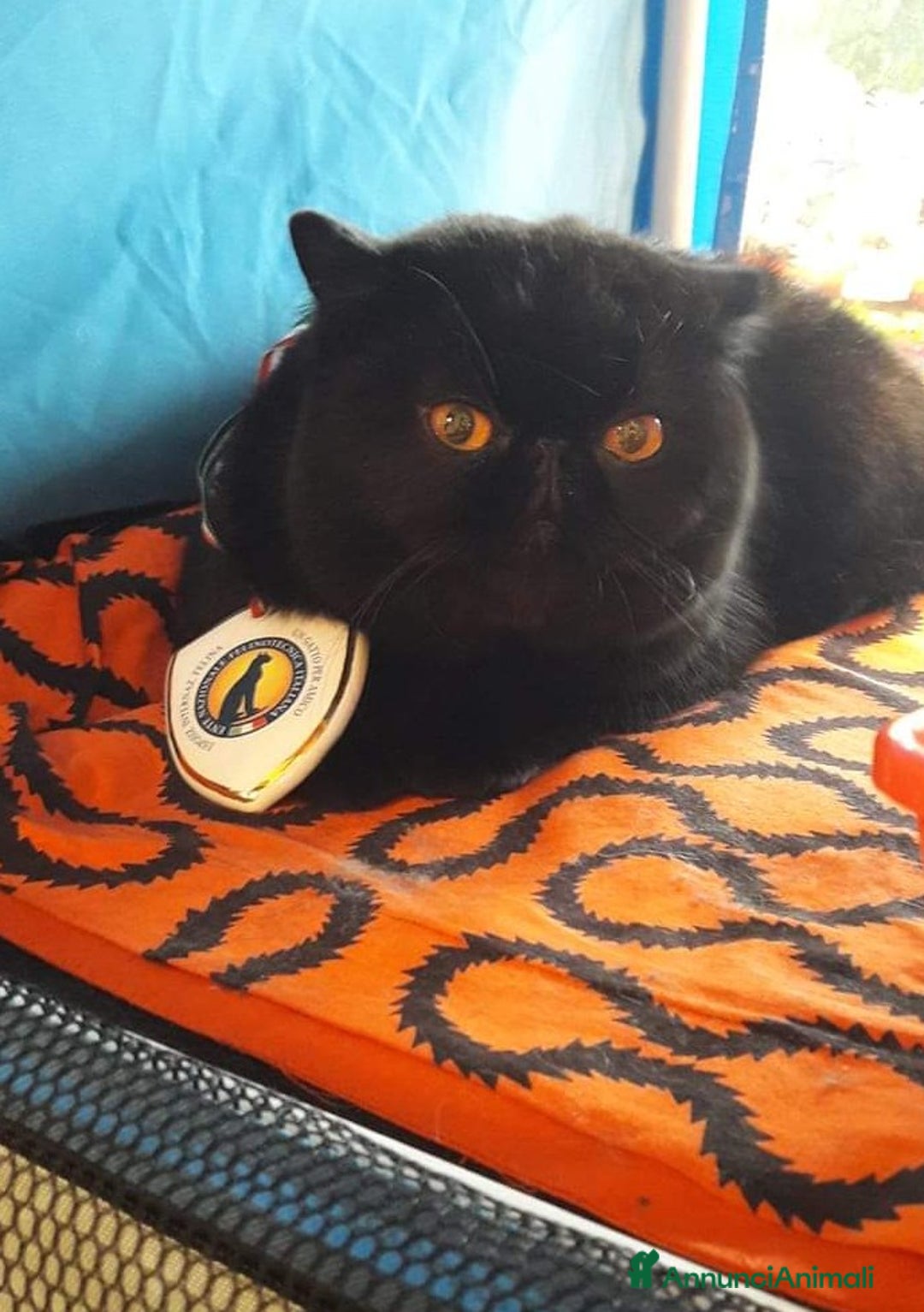 Immagine della galleria {{count}}