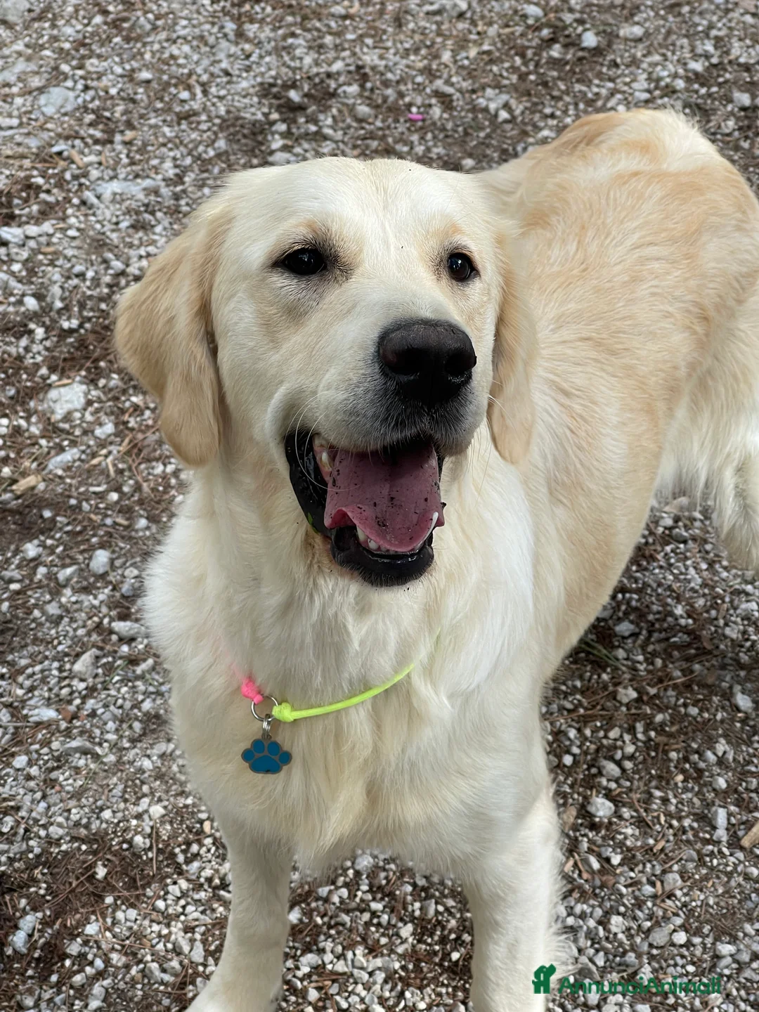 Immagine della galleria {{count}}