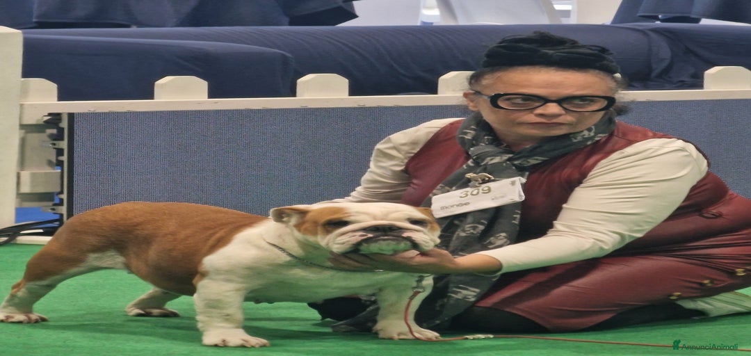 Immagine della galleria {{count}}