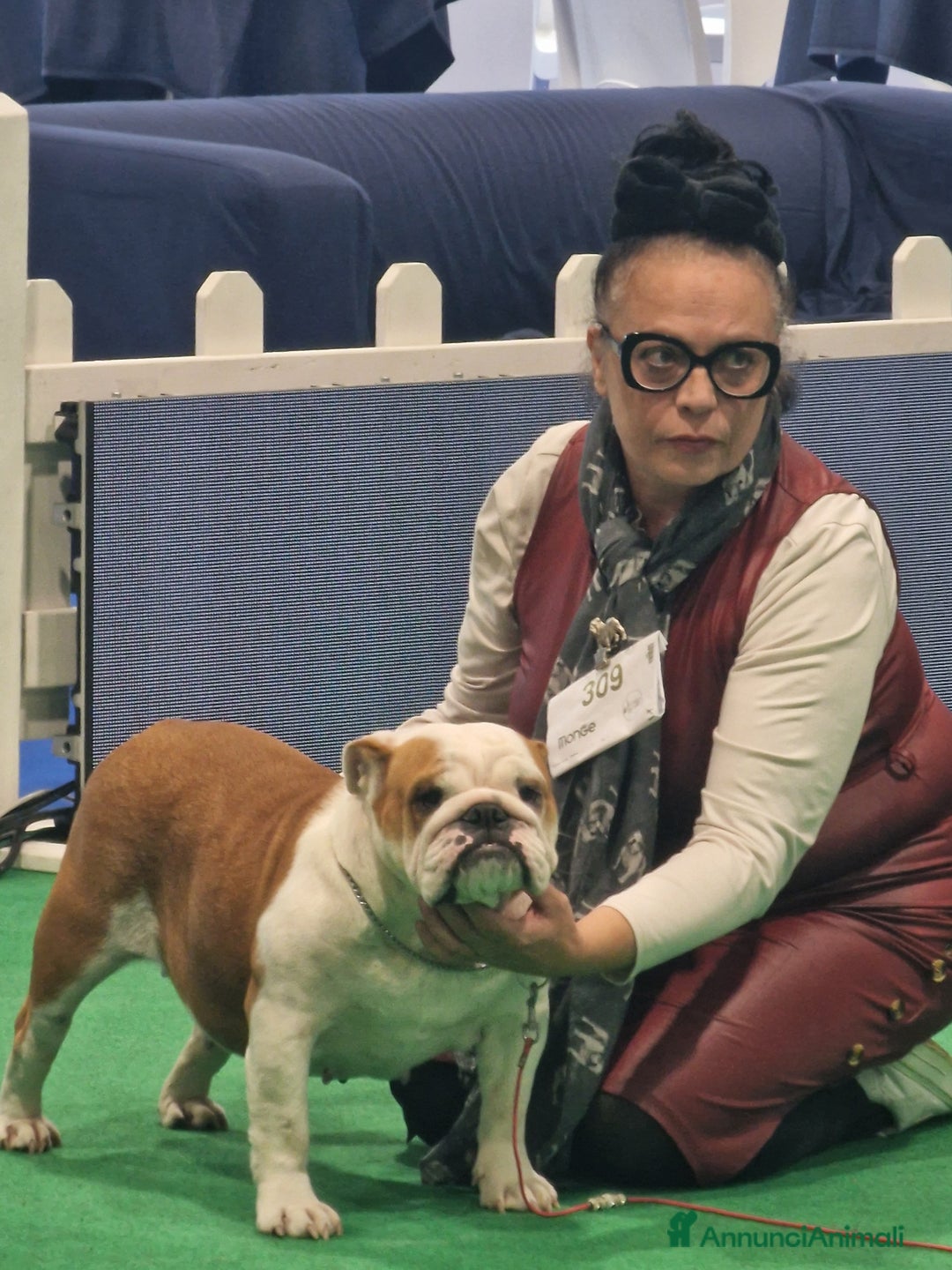 Immagine della galleria {{count}}