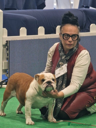 Immagine della galleria {{count}}