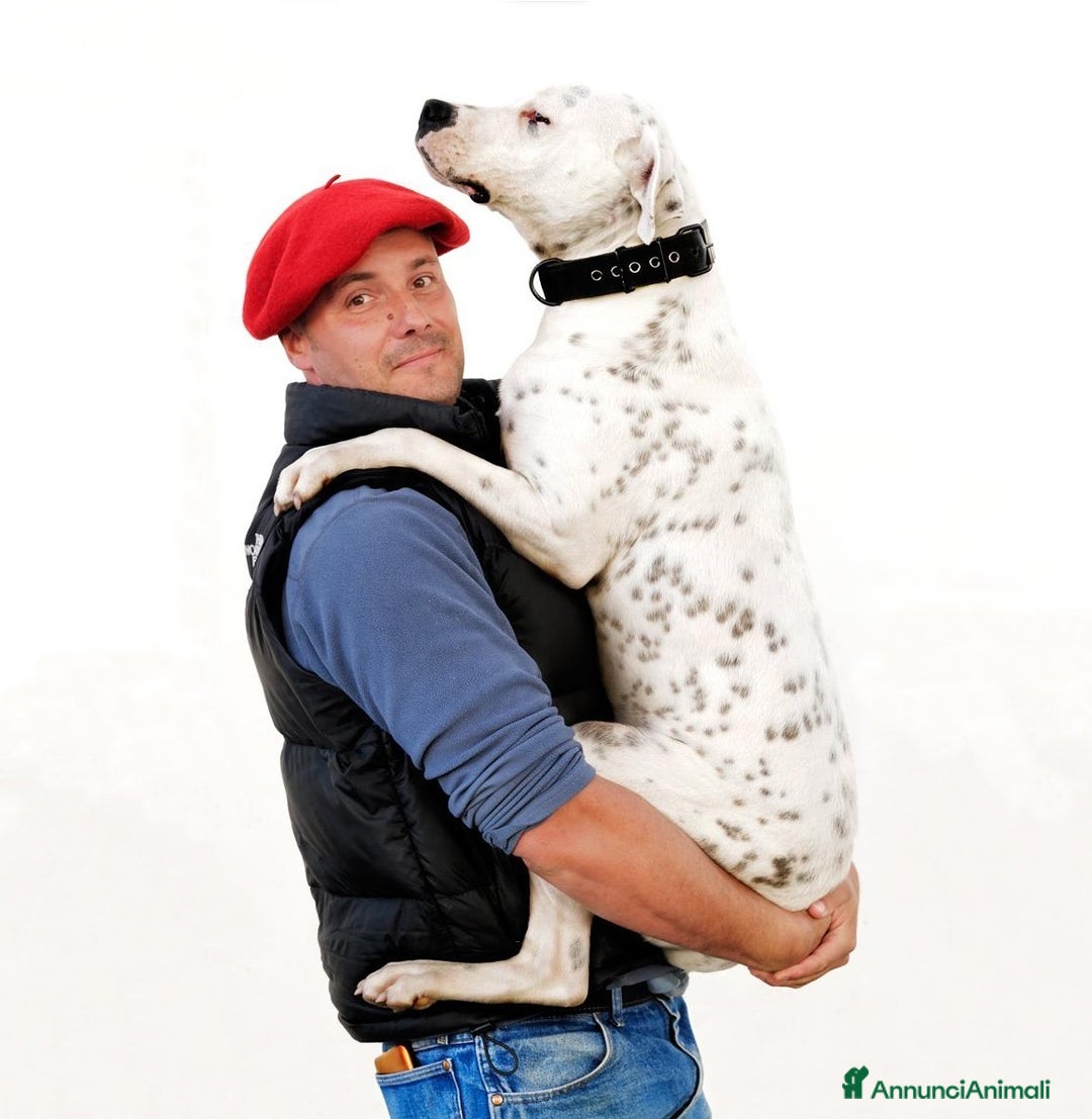 Immagine della galleria {{count}}