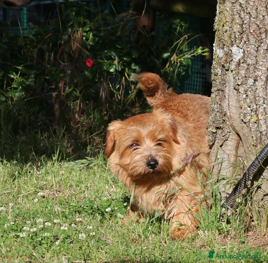 Immagine della galleria {{count}}