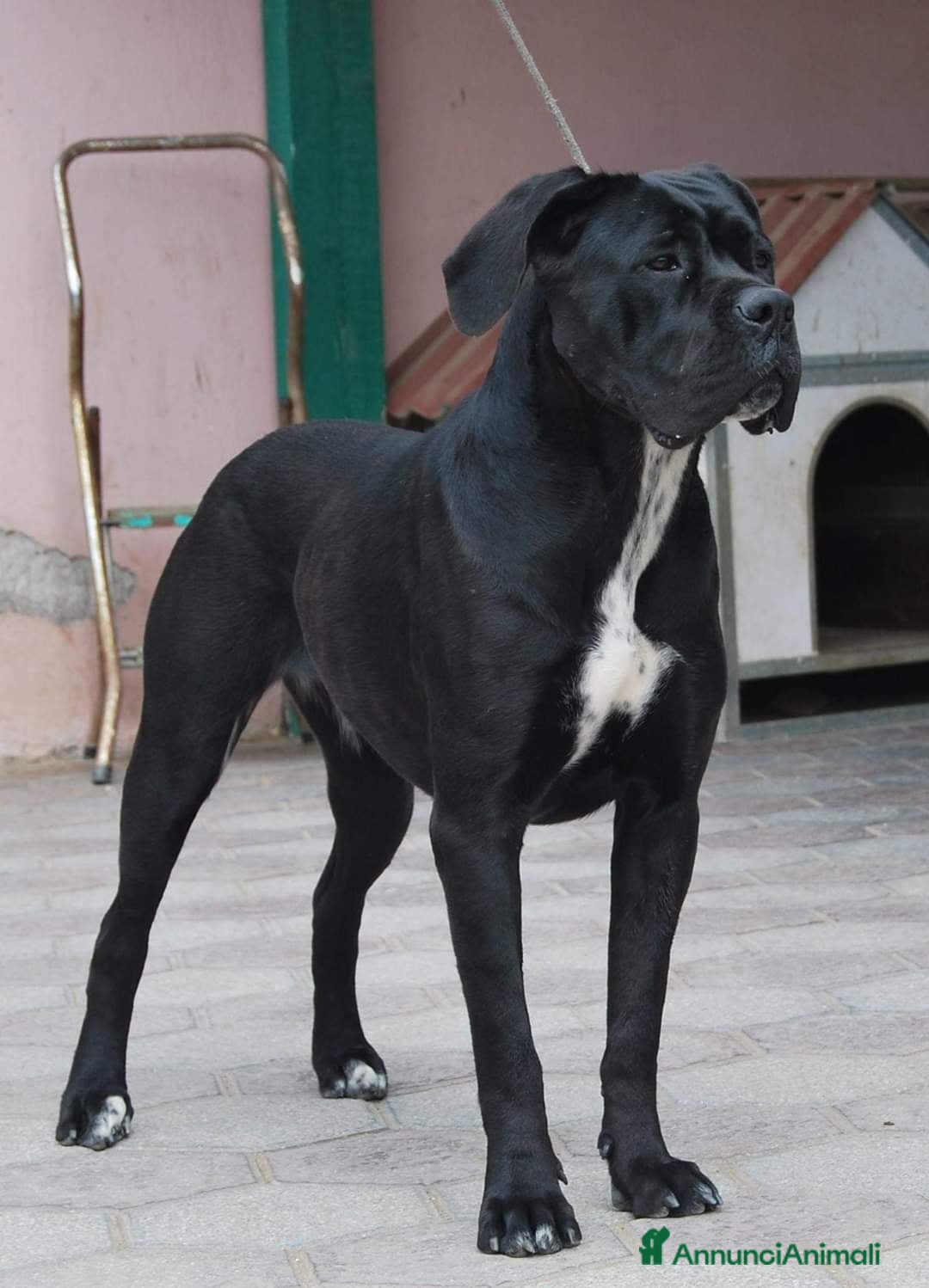 Immagine della galleria {{count}}