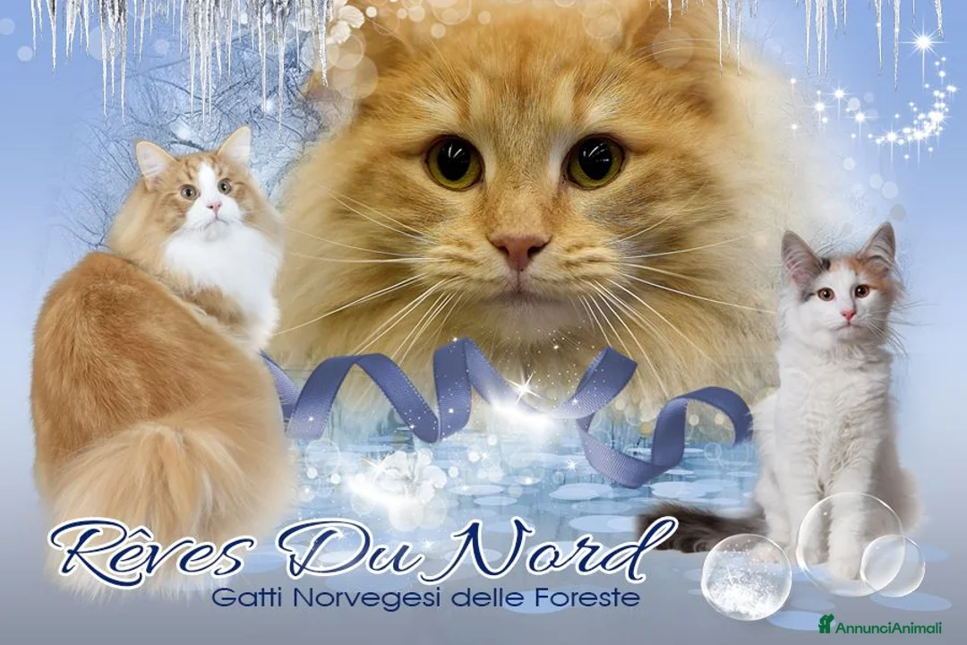 Immagine della galleria {{count}}