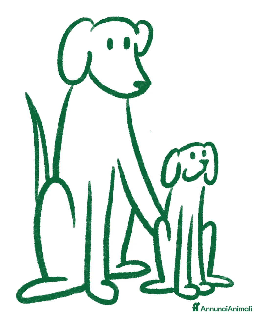 Pastore Svizzero cani in vendita: Cuccioli pastore svizzero in vendita - Annuncio 1