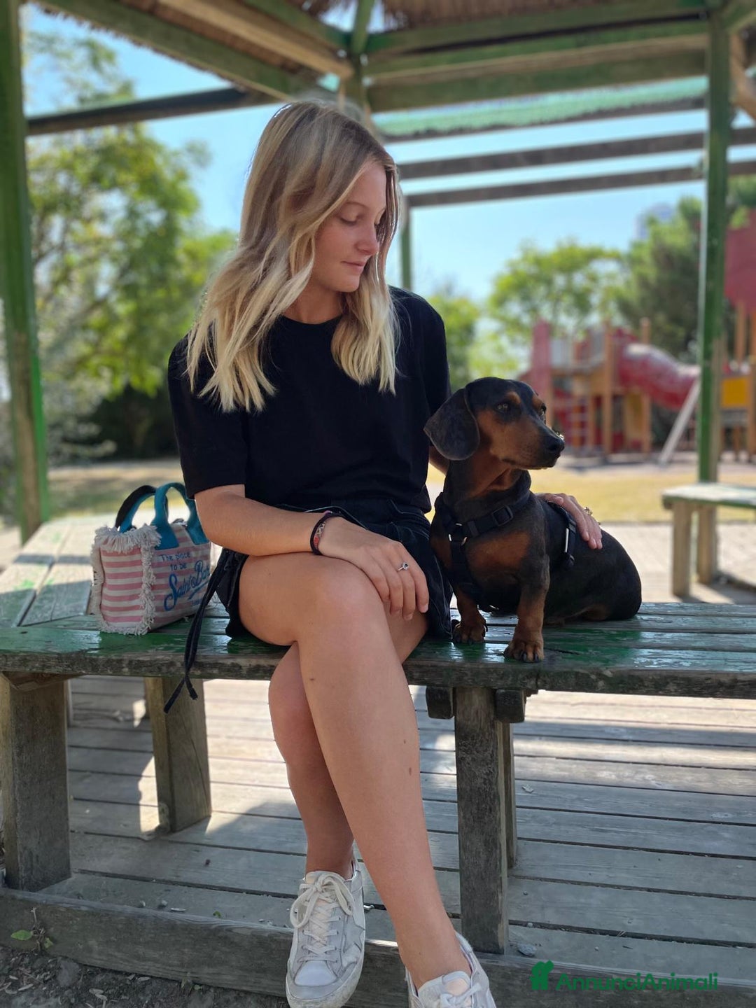 Meticcio cani in vendita: CUCCIOLI DI DOXIPOO  🐶❤️ - Annuncio 4