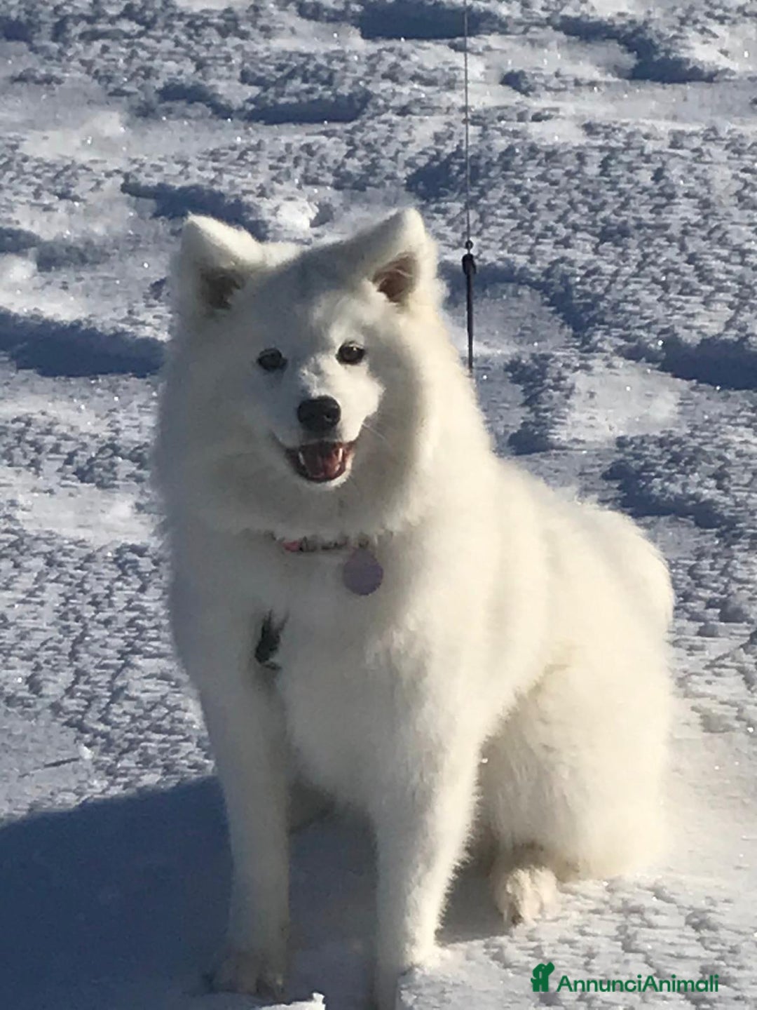 Immagine della galleria {{count}}