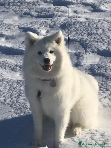 Immagine della galleria {{count}}