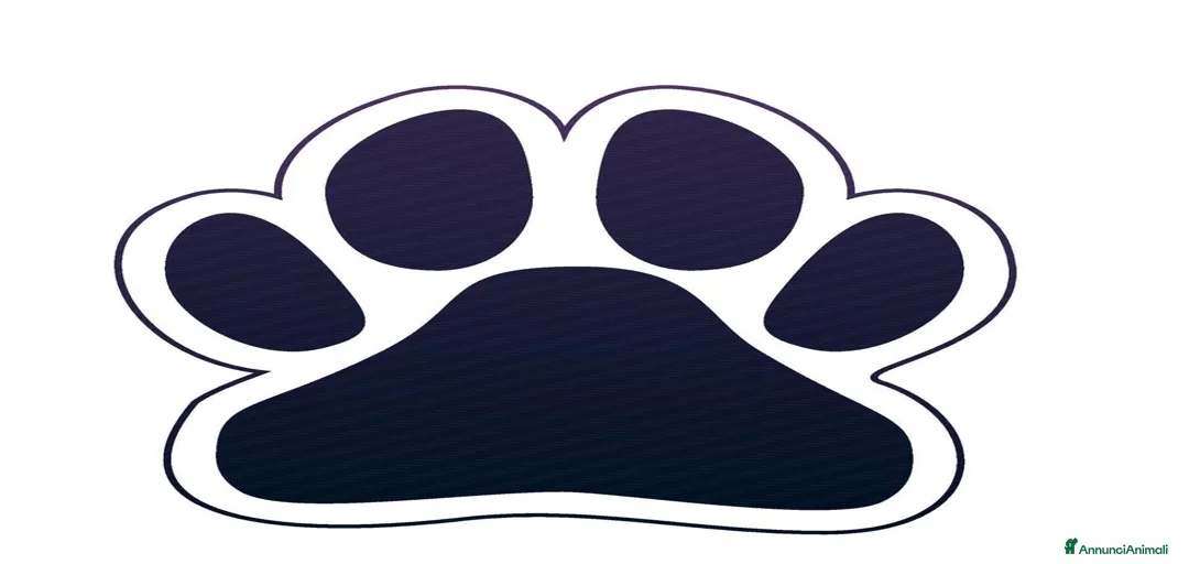 Immagine della galleria {{count}}