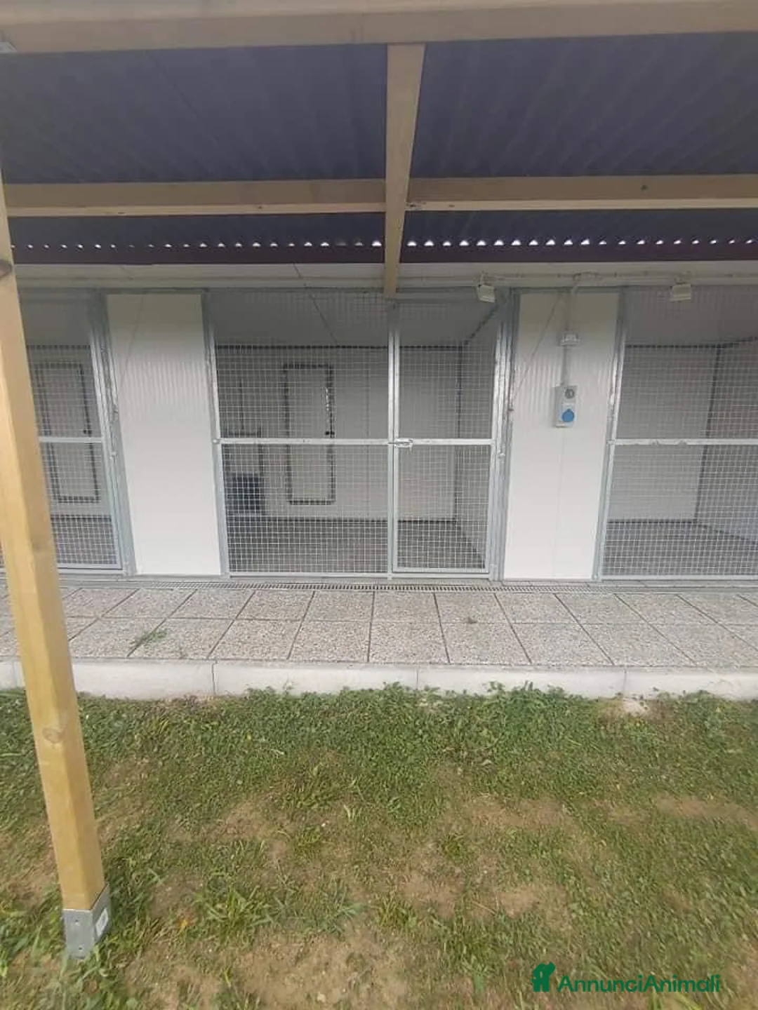 Immagine della galleria {{count}}