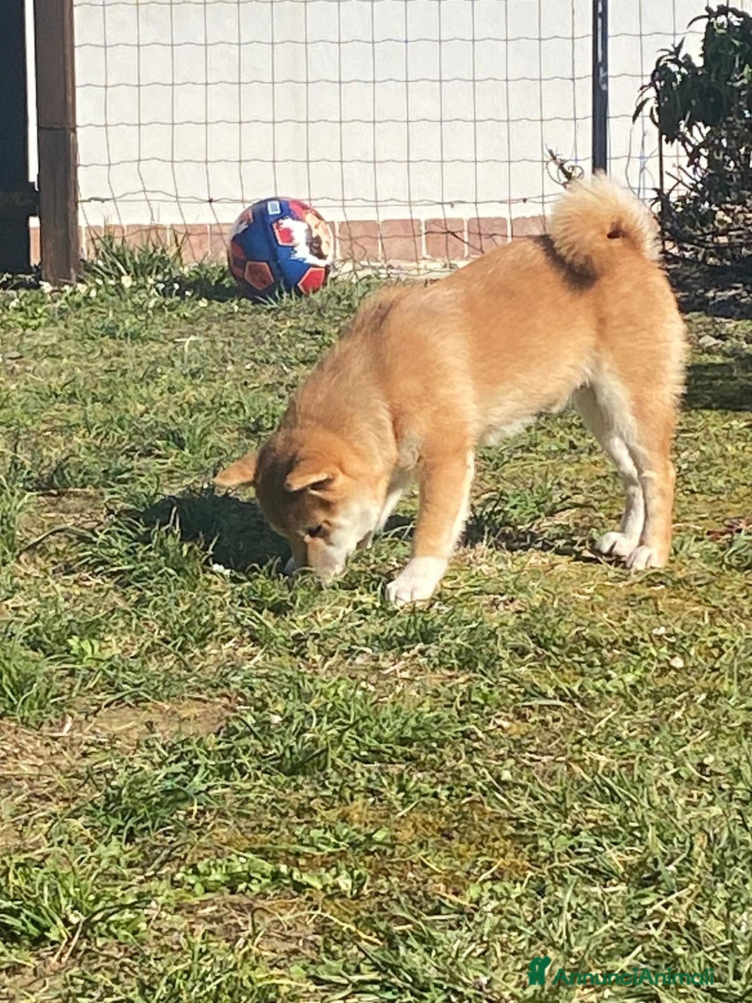 Immagine della galleria {{count}}