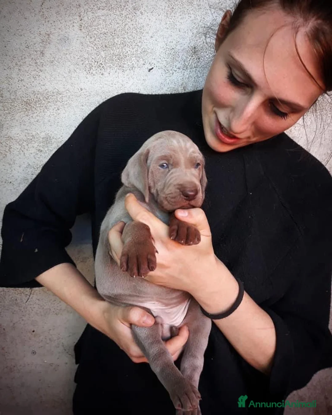 Immagine della galleria {{count}}