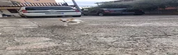 Meticcio cani in vendita: Cucciolo da tartufi di 2 mesi ,Già avviato a Provincia di Fermo - Annuncio 5
