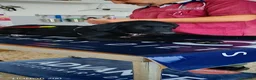 Meticcio cani in regalo: Coco' 4 mesi, femmina simil Labrador  - Annuncio 3