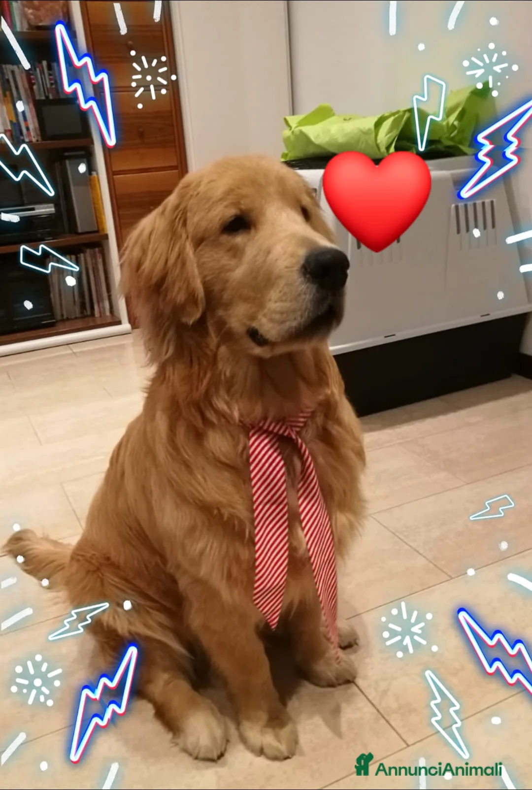 Immagine della galleria {{count}}