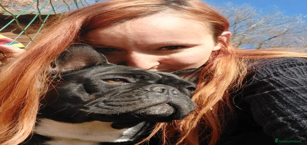 Immagine della galleria {{count}}