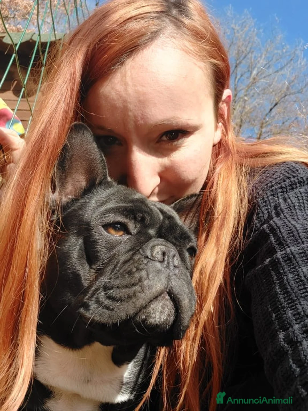 Immagine della galleria {{count}}