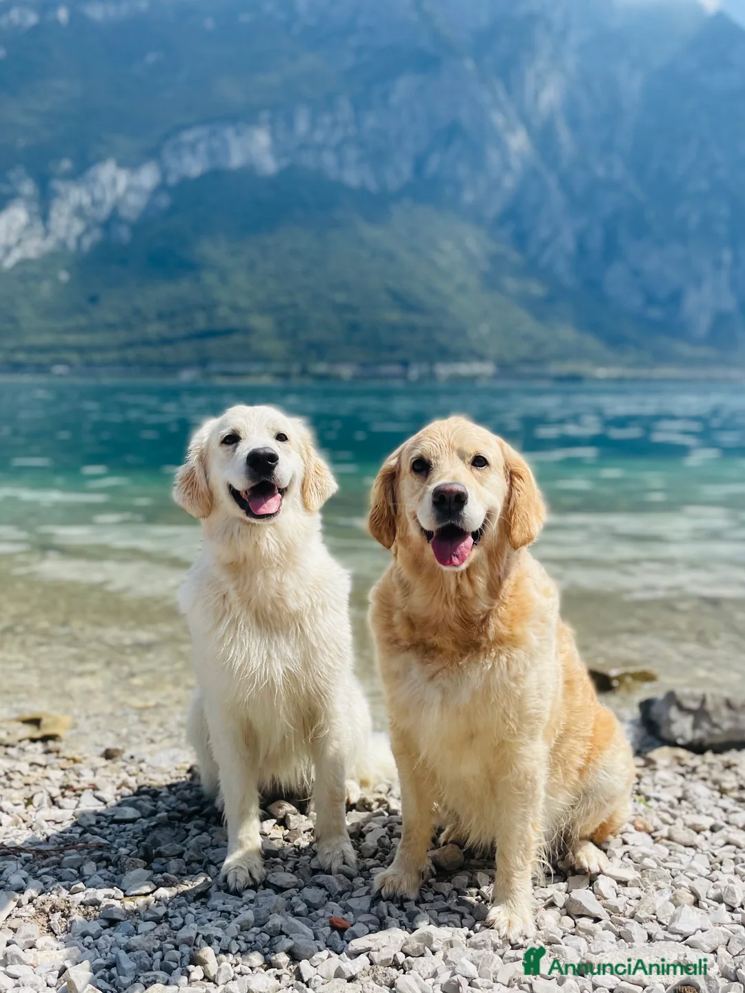 Immagine della galleria {{count}}