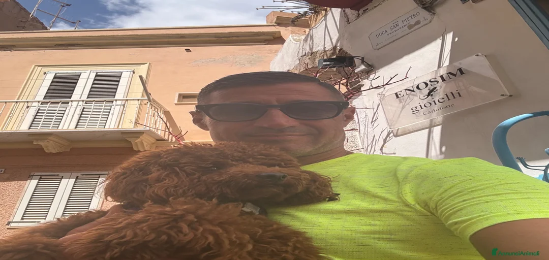 Immagine della galleria {{count}}