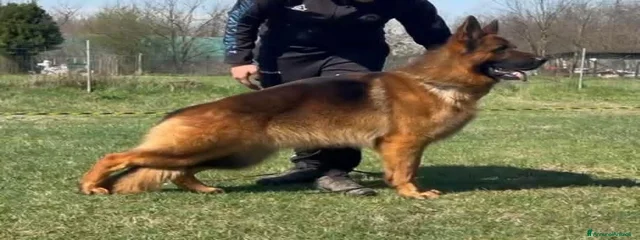 Sandokan di Camporeale 