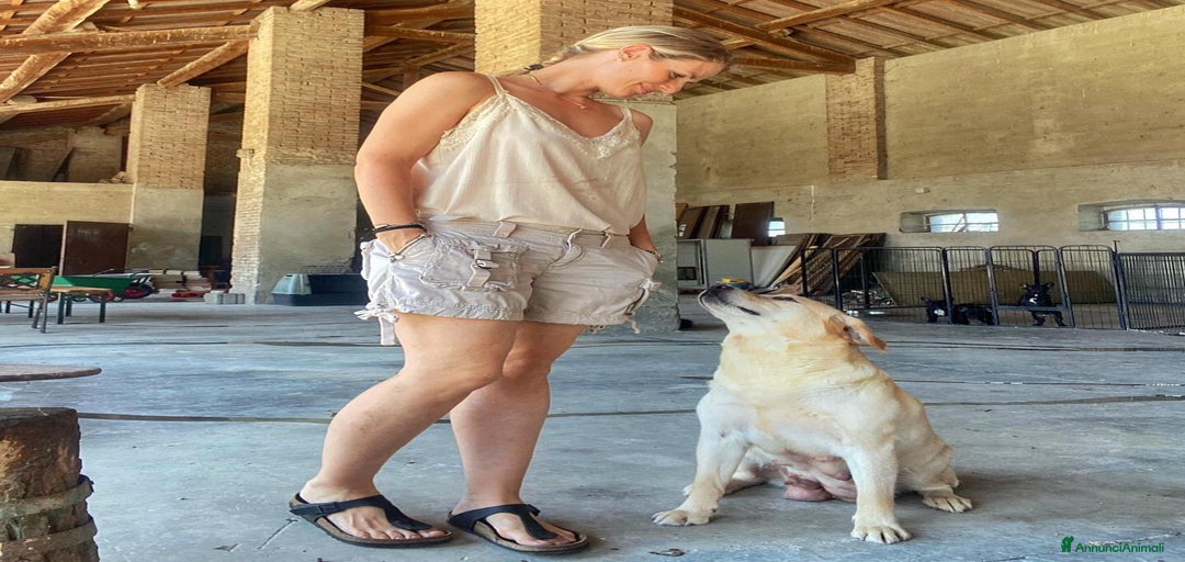 Immagine della galleria {{count}}