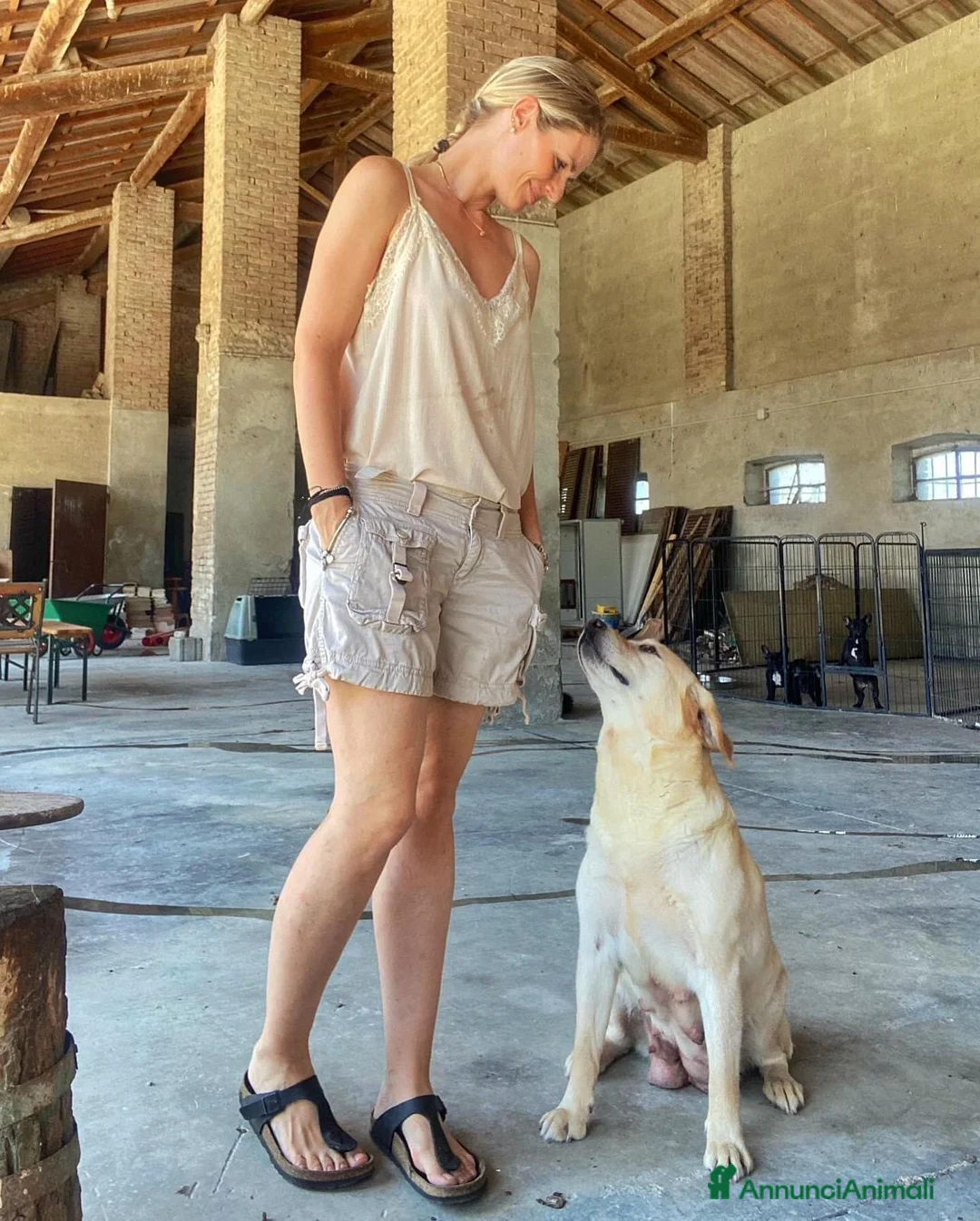 Immagine della galleria {{count}}