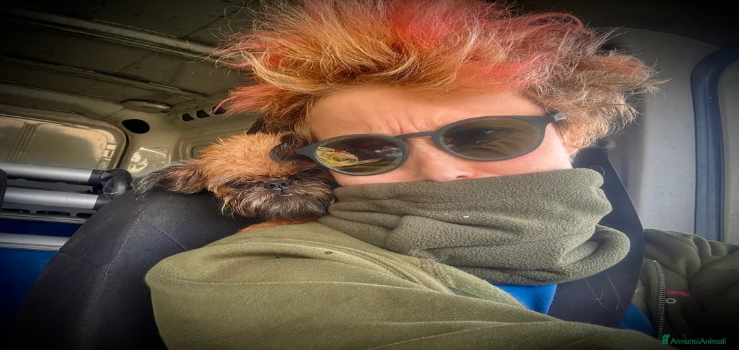 Immagine della galleria {{count}}