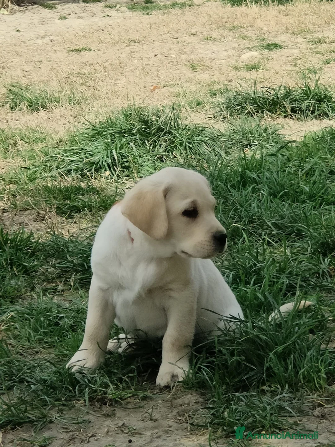 Immagine della galleria {{count}}