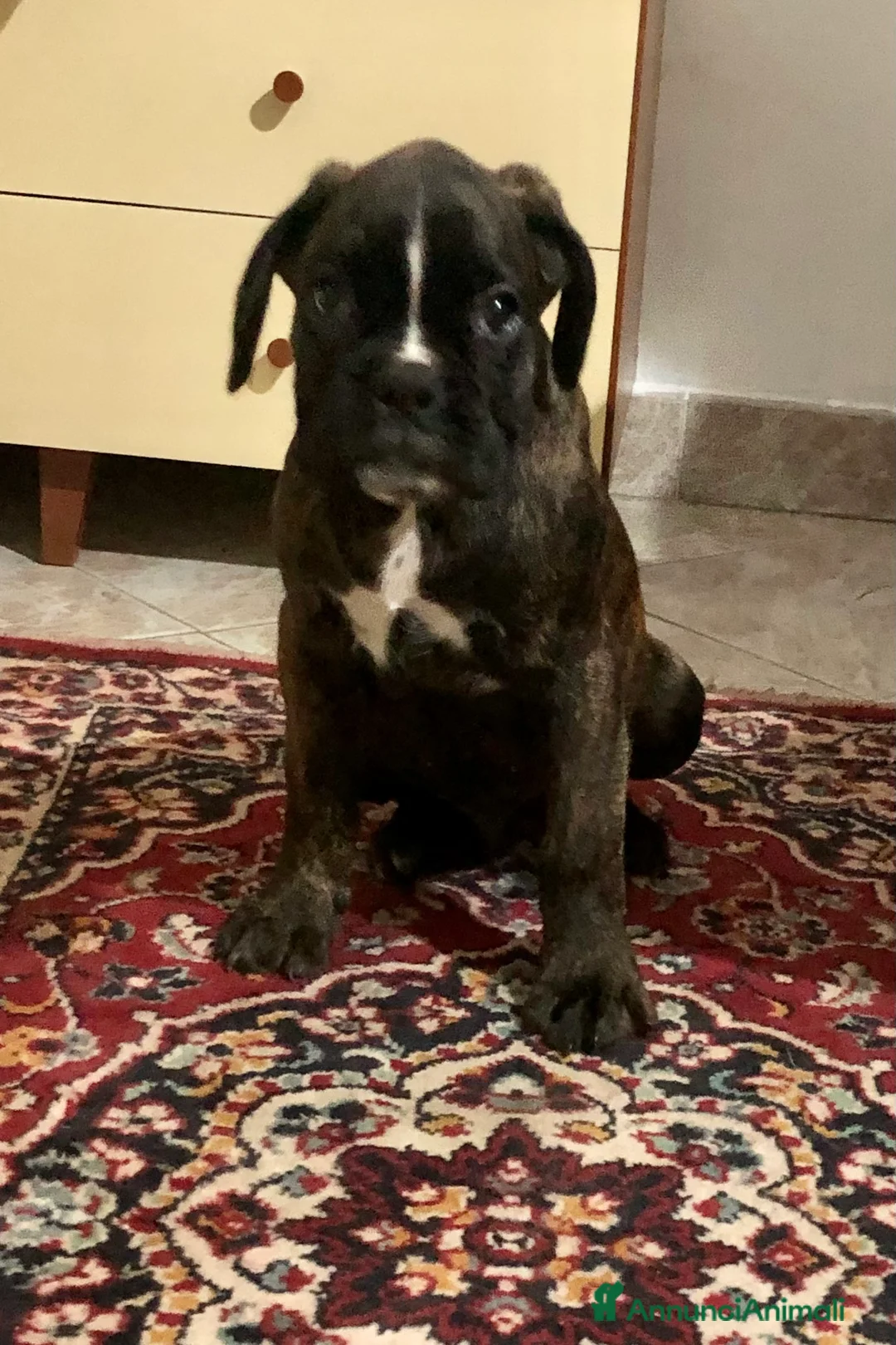 Immagine della galleria {{count}}