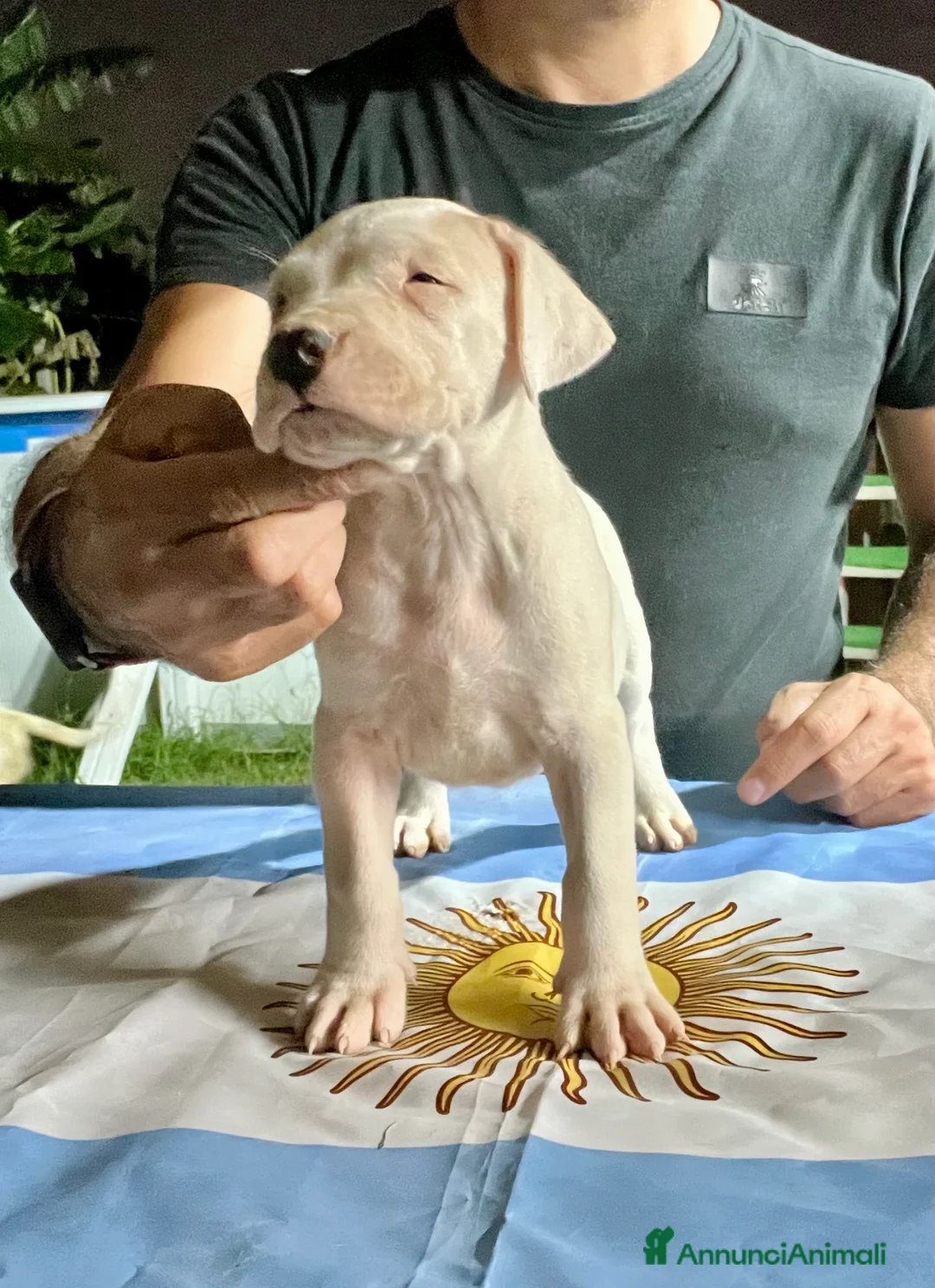 Immagine della galleria {{count}}