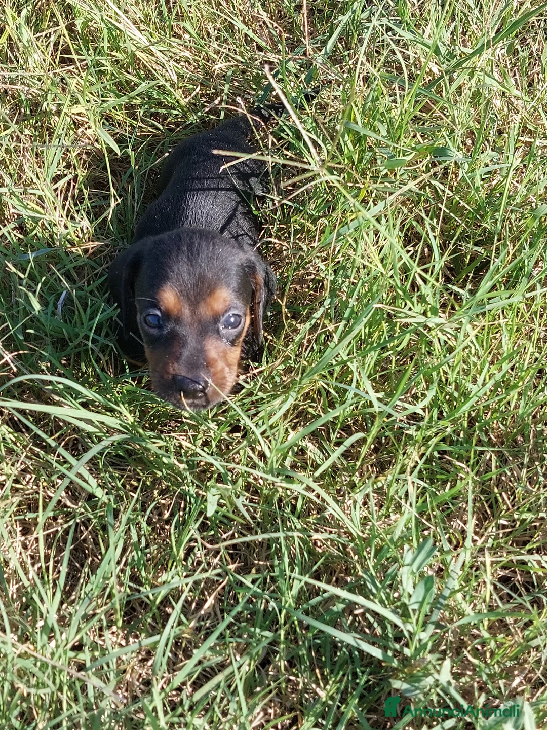 Immagine della galleria {{count}}