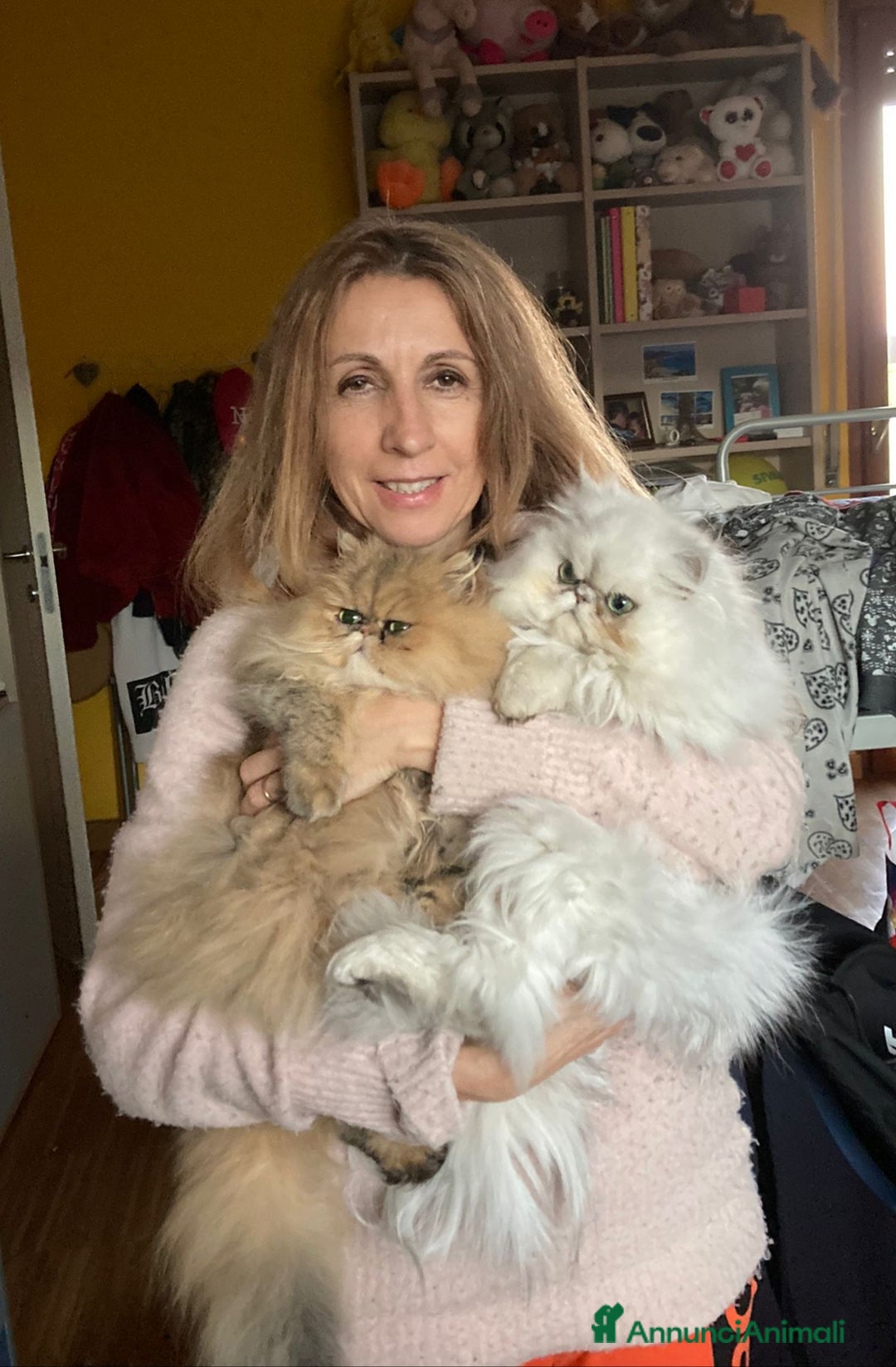 Immagine della galleria {{count}}