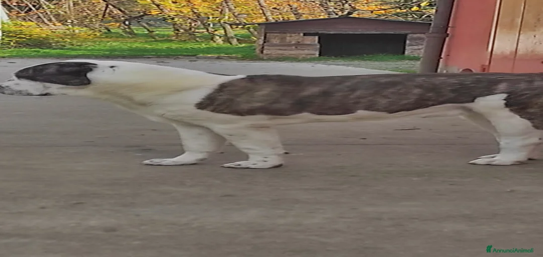 Immagine della galleria {{count}}