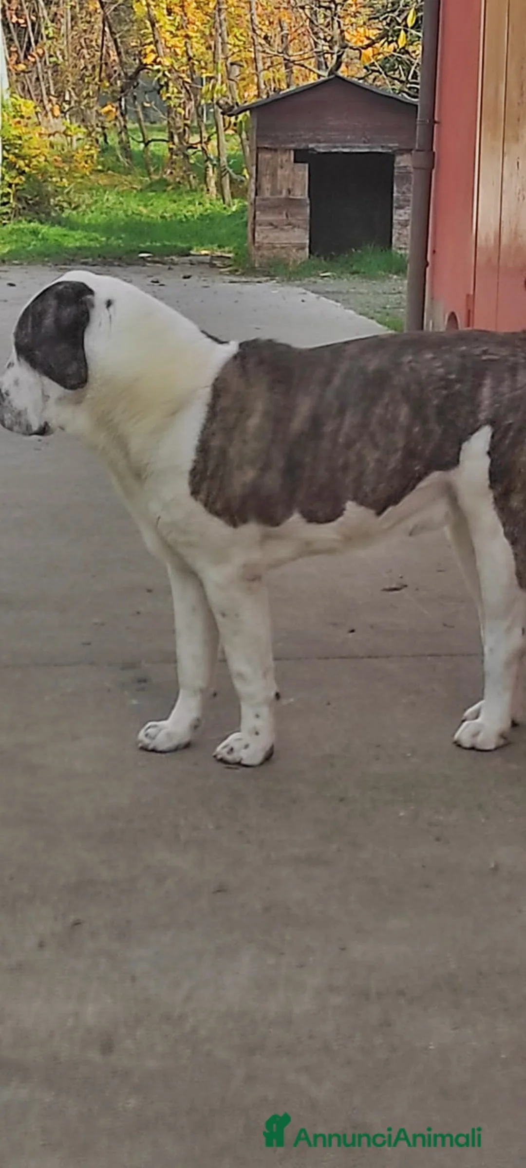 Immagine della galleria {{count}}