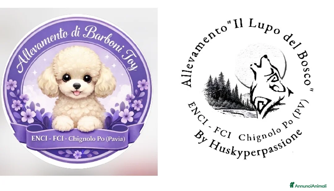 Immagine della galleria {{count}}