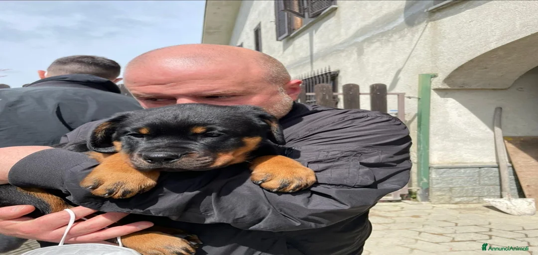 Immagine della galleria {{count}}