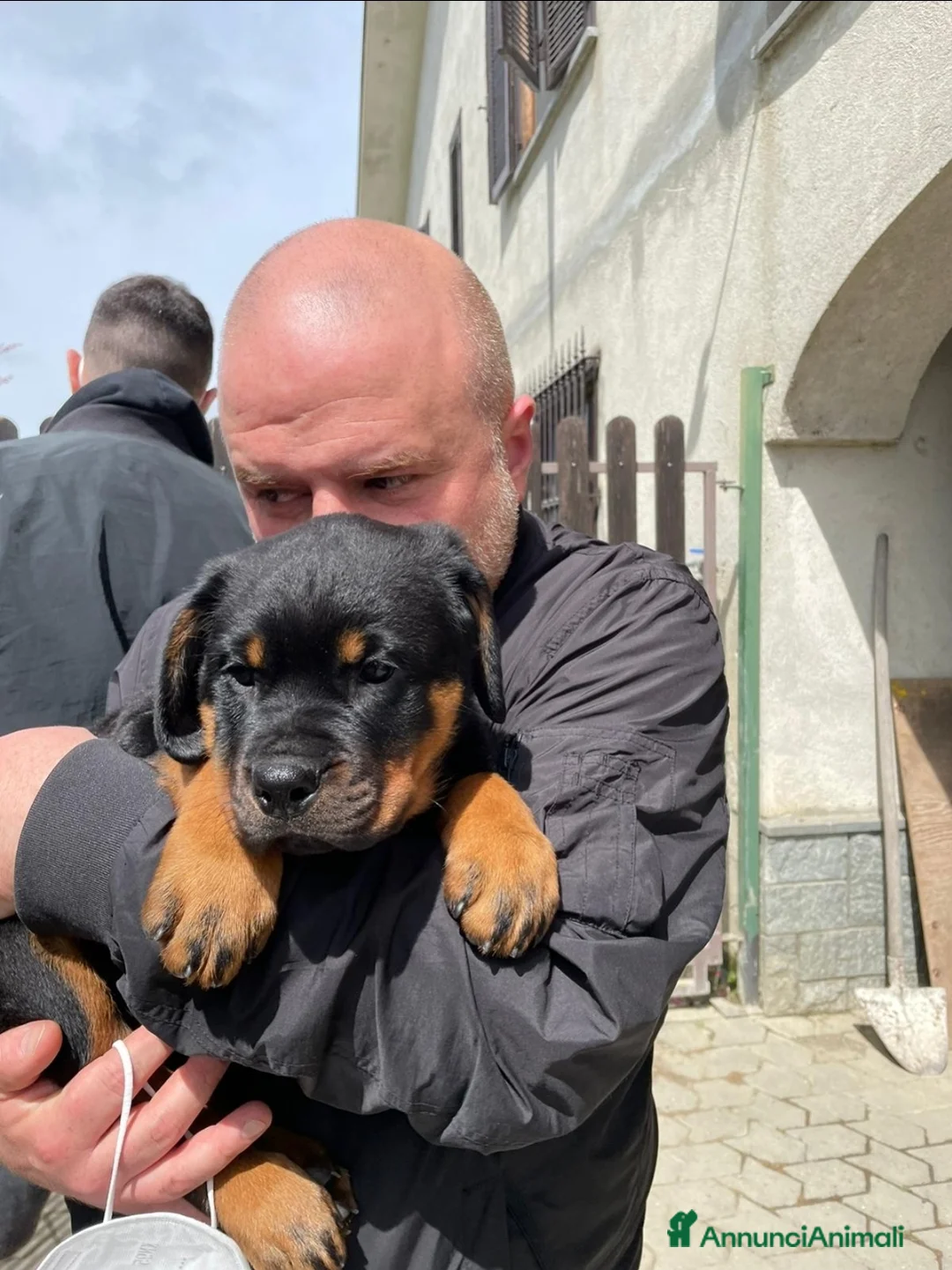 Immagine della galleria {{count}}