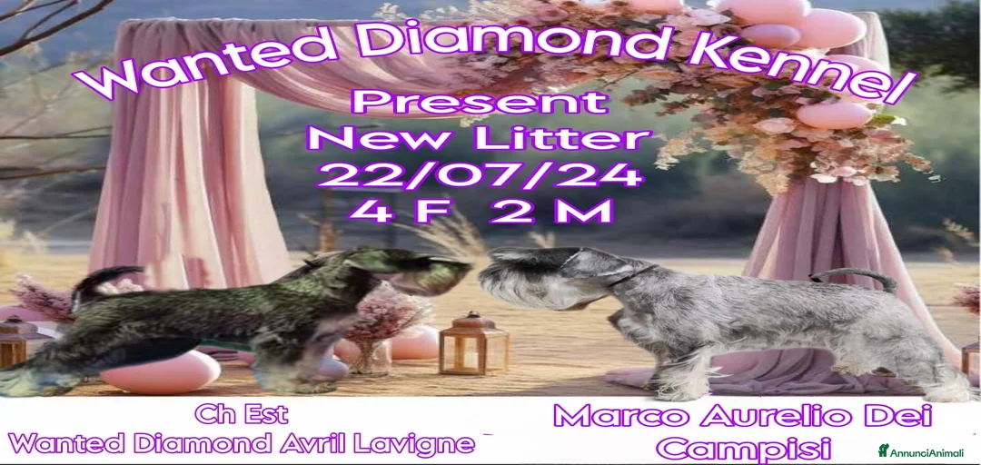 Immagine della galleria {{count}}