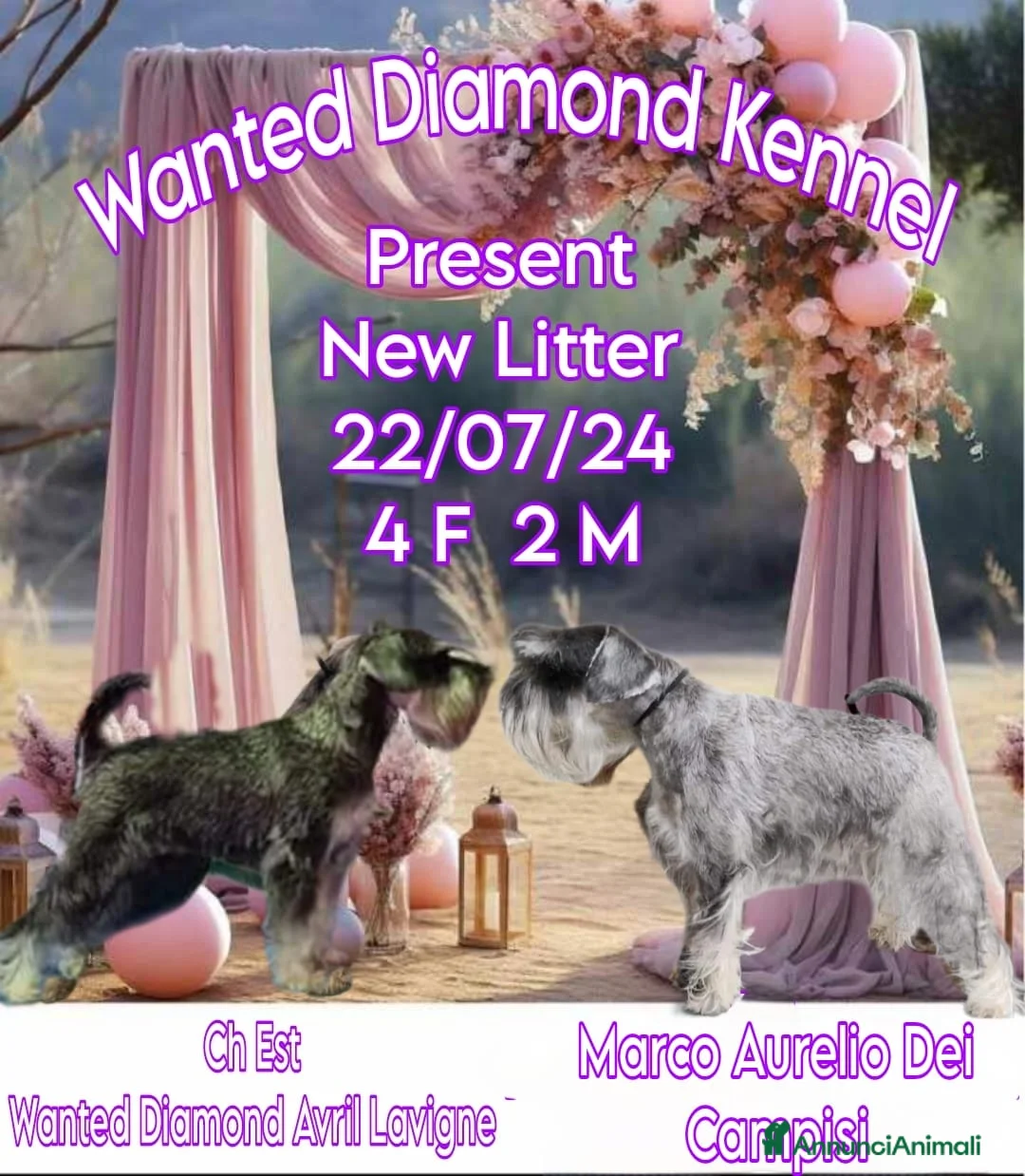 Immagine della galleria {{count}}