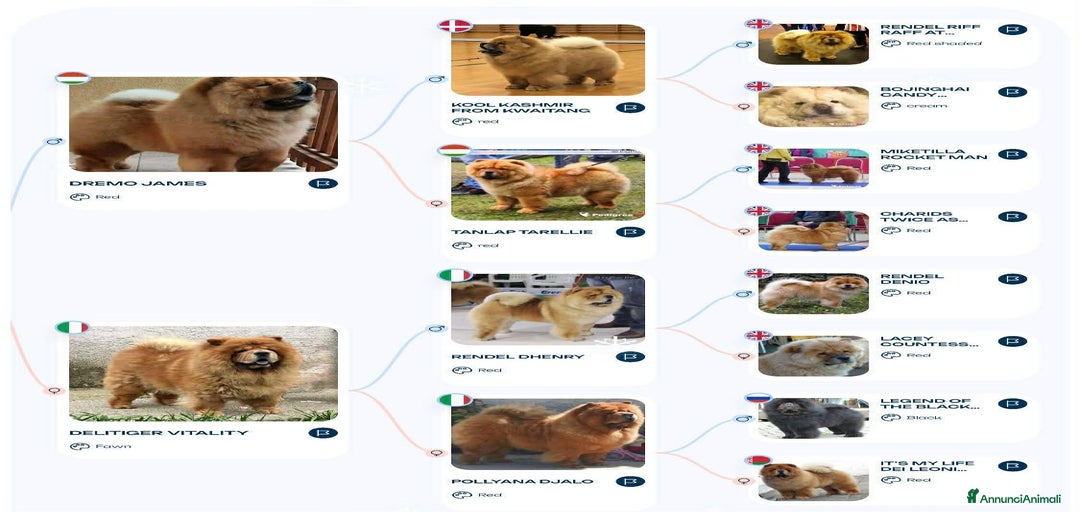 Immagine della galleria {{count}}