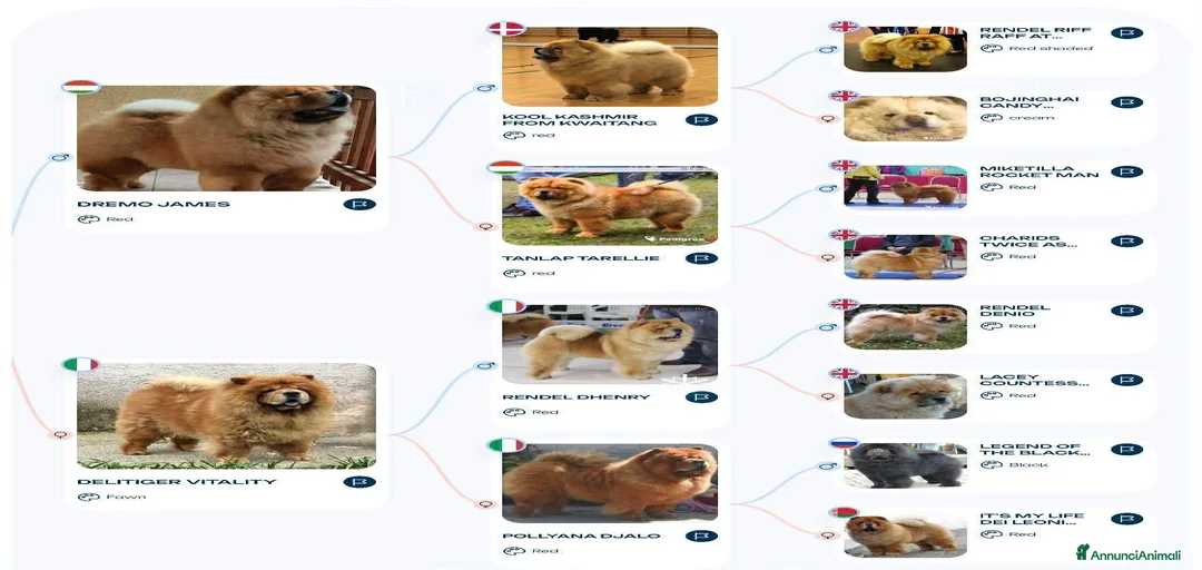 Immagine della galleria {{count}}