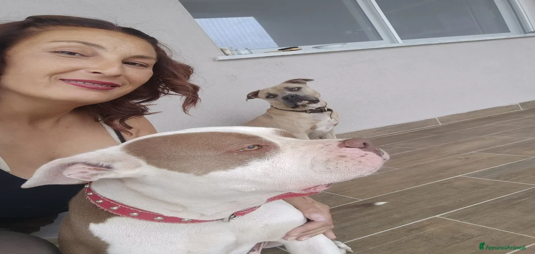 Immagine della galleria {{count}}