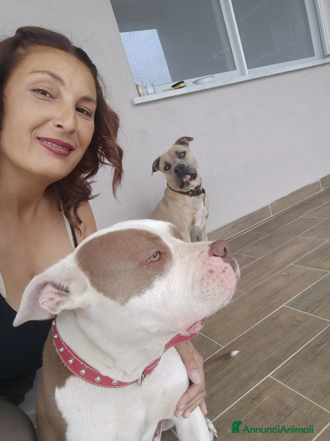 Immagine della galleria {{count}}