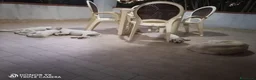 Pastore Abbruzzese Maremmano cani in regalo: regalo cucciolo di maremmano  a Provincia di Nuoro - Annuncio 4