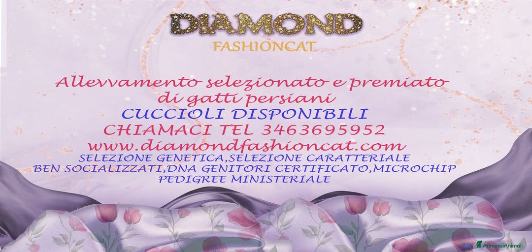 Immagine della galleria {{count}}