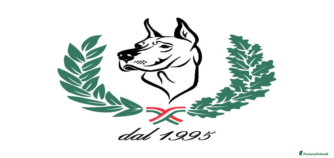 Immagine della galleria {{count}}