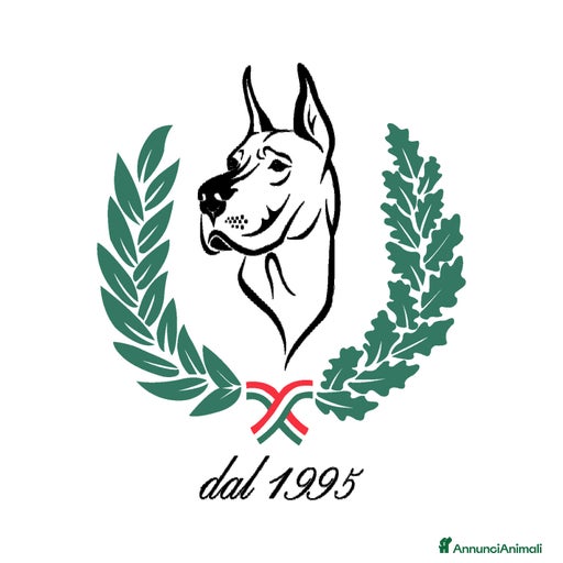 Immagine della galleria {{count}}